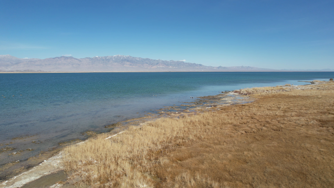 青海小柴旦湖碧绿色湖泊美景